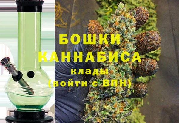 PSILOCYBIN Баксан
