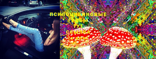 PSILOCYBIN Баксан